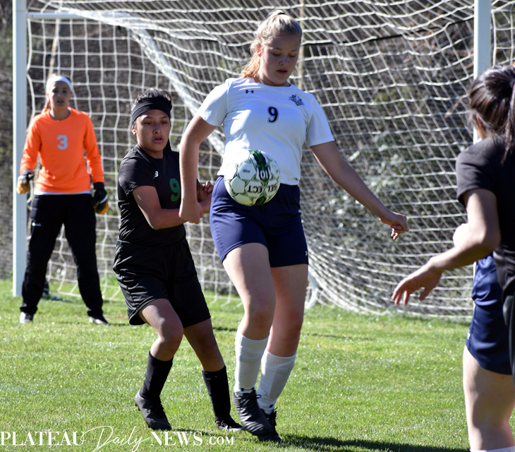 Blue.Ridge.TriCounty.Soccer.V (38) | Plateau Daily News